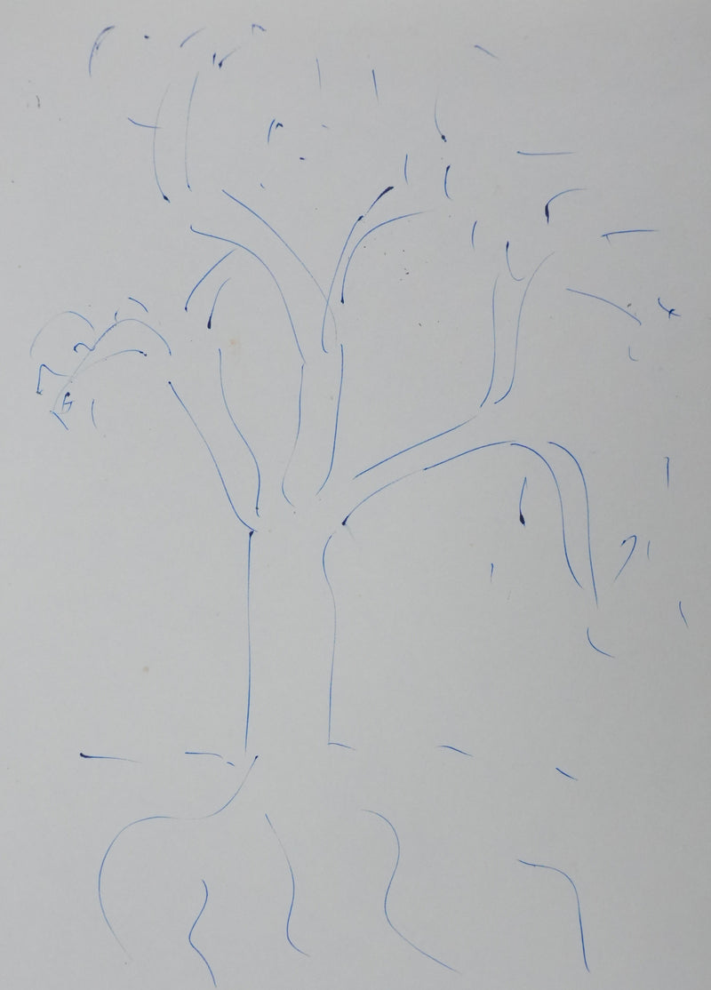 Jeanne DE BOYER DE SAINTE-SUZANNE : J&