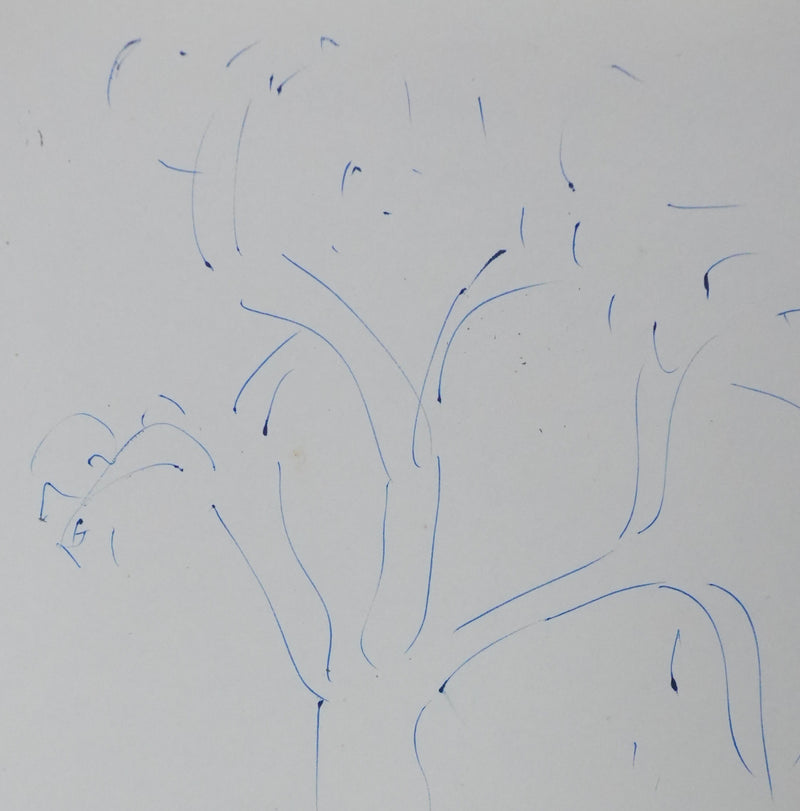 Jeanne DE BOYER DE SAINTE-SUZANNE : J&