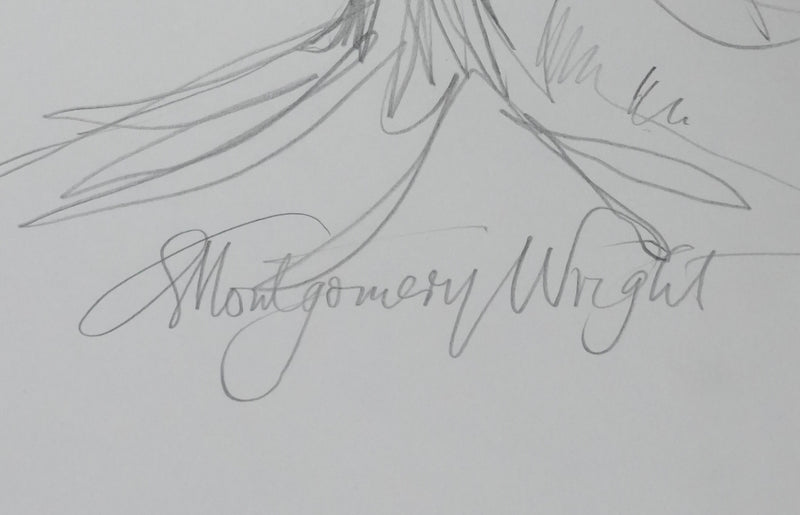 Quintin MONTGOMERY WRIGHT : L&