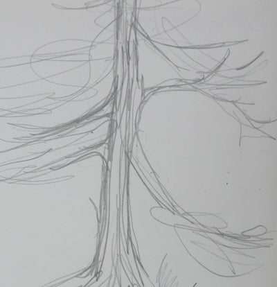 Quintin MONTGOMERY WRIGHT : L'arbre au crayon, Autographe et dessin original signé