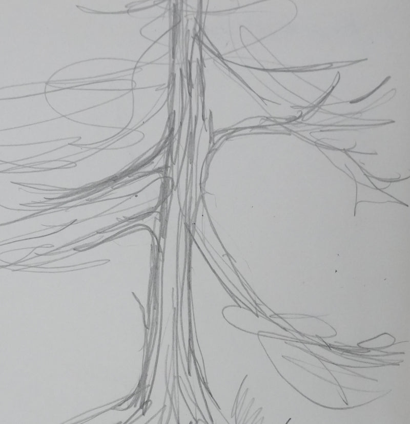 Quintin MONTGOMERY WRIGHT : L&