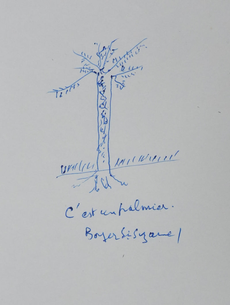 Raymond DE BOYER DE SAINTE-SUZANNE : L&