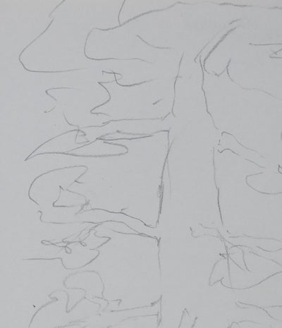 BERMANT : L'arbre de la forêt, Autographe et dessin original signé