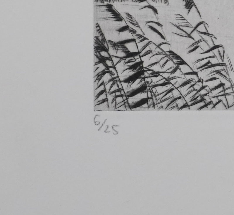 Camille COMBE : Envol, Gravure originale signée