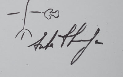 STURDZA (Prince STURDZA) : Le tulipier de Chine, Autographe et dessin original signé