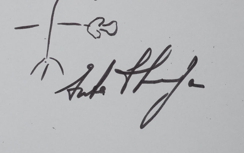 STURDZA (Prince STURDZA) : Le tulipier de Chine, Autographe et dessin original signé