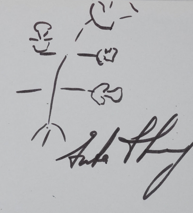 STURDZA (Prince STURDZA) : Le tulipier de Chine, Autographe et dessin original signé