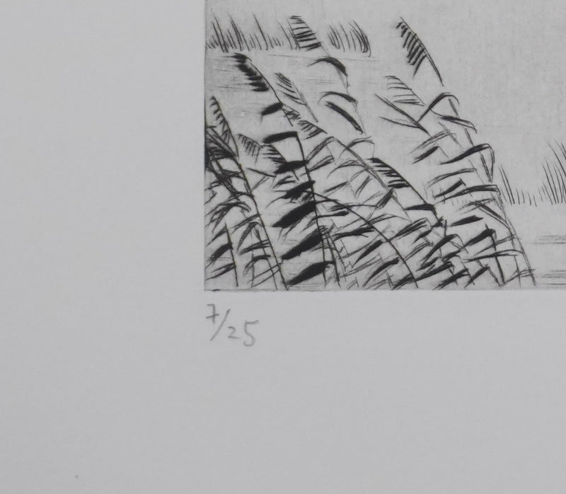 Camille COMBE : Oiseaux en envol, Gravure originale signée