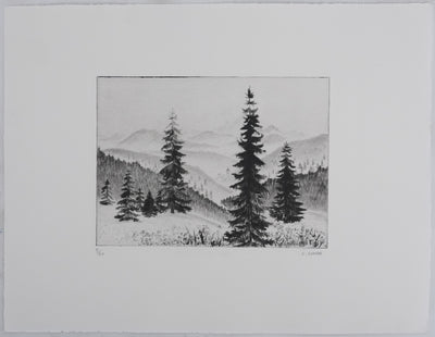 Camille COMBE : Les sapins, Gravure originale signée