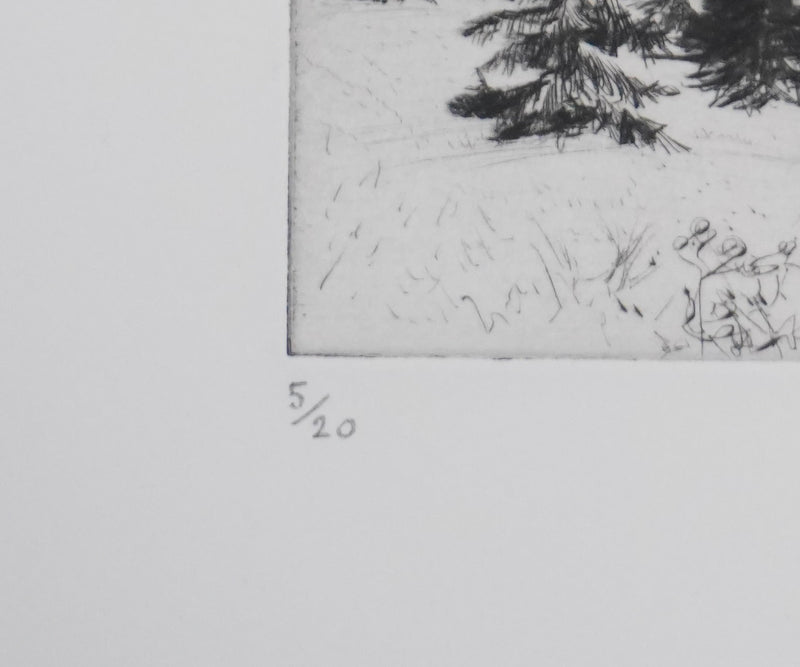 Camille COMBE : Les sapins, Gravure originale signée