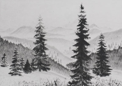 Camille COMBE : Les sapins, Gravure originale signée