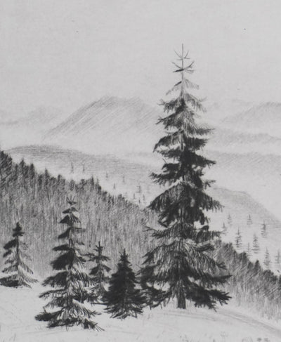 Camille COMBE : Les sapins, Gravure originale signée