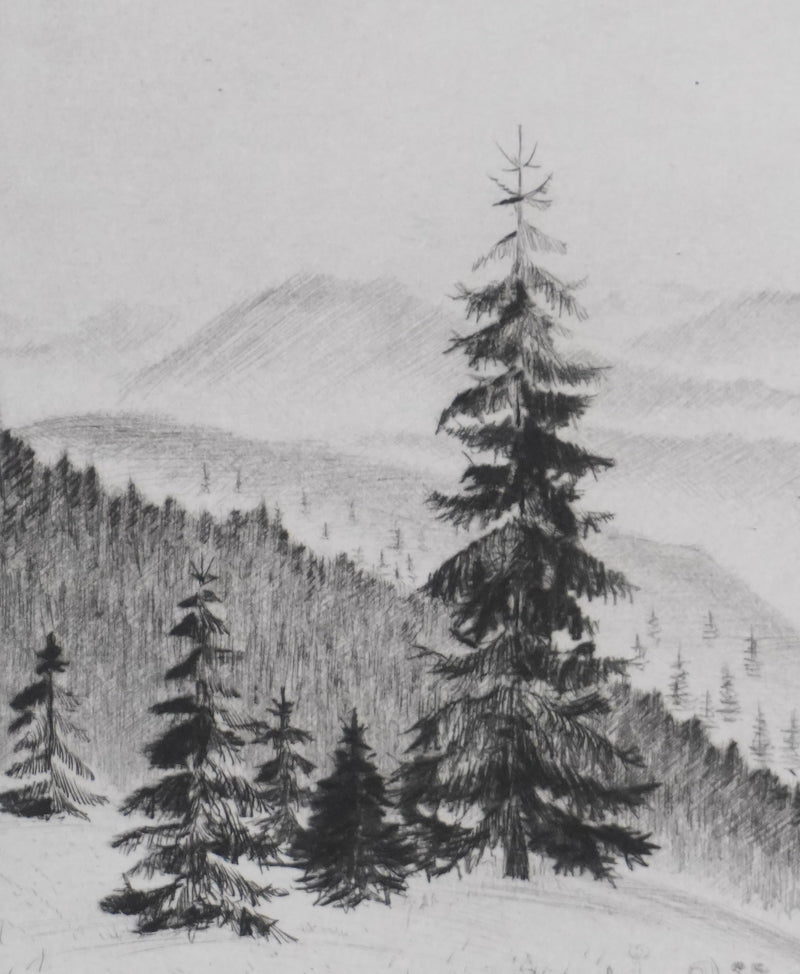 Camille COMBE : Les sapins, Gravure originale signée