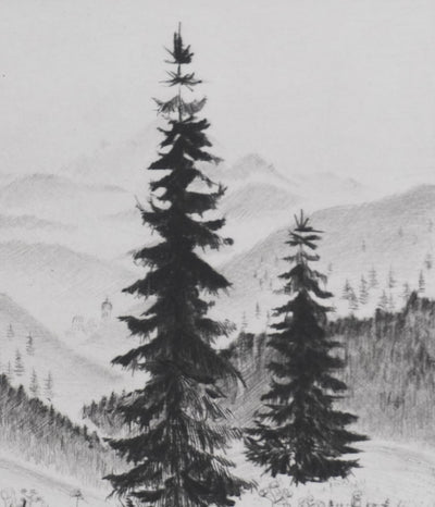 Camille COMBE : Les sapins, Gravure originale signée
