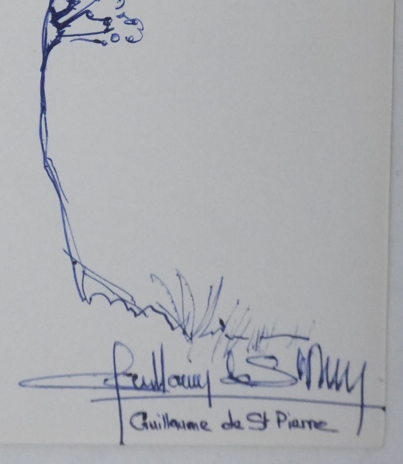 Guillaume DE ST PIERRE : L&