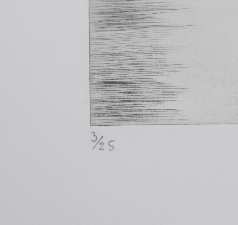 Camille COMBE : Pluie de lumière, Gravure originale signée