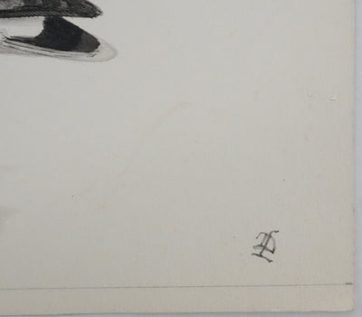 Louis DELAPCHIER : Bartramie à longue queue, Aquarelle originale signée