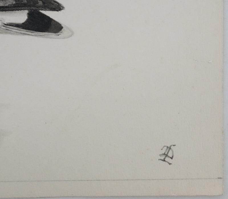 Louis DELAPCHIER : Bartramie à longue queue, Aquarelle originale signée