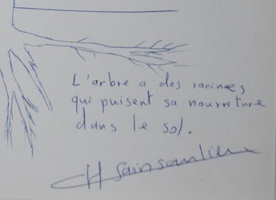 Christian SAINSAULIEU : La théorie des arbres, Autographe et dessin original signé