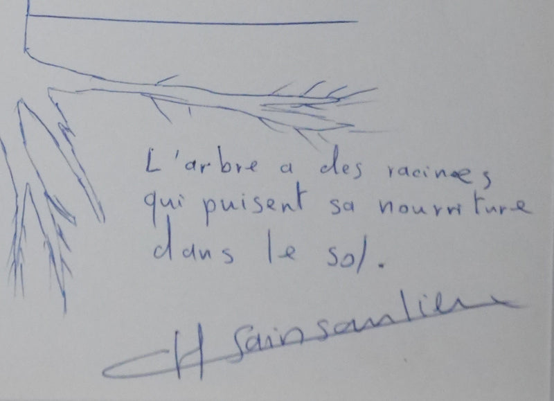 Christian SAINSAULIEU : La théorie des arbres, Autographe et dessin original signé
