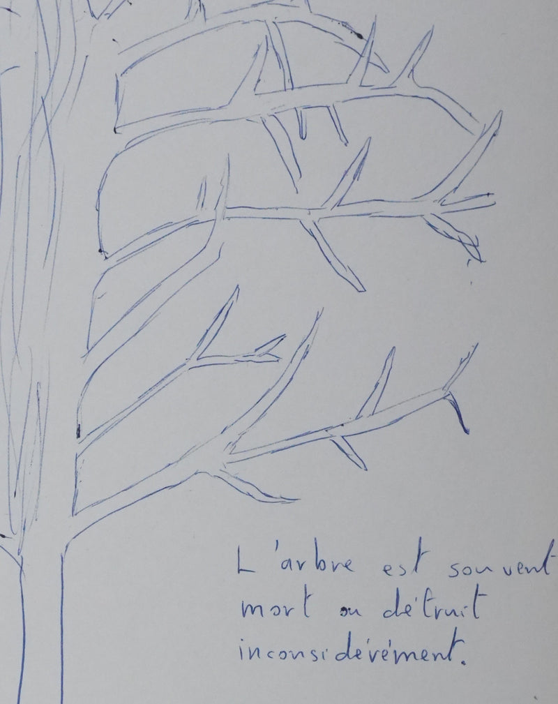 Christian SAINSAULIEU : La théorie des arbres, Autographe et dessin original signé