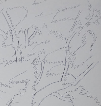 Princesse DE NICOLAY LEVIS-MIREPOIX DE ROBECQ : A travers le feuillage, Autographe et dessin original signé