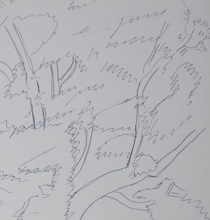 Princesse DE NICOLAY LEVIS-MIREPOIX DE ROBECQ : A travers le feuillage, Autographe et dessin original signé