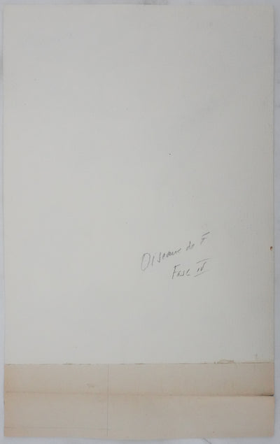 Louis DELAPCHIER : Goélands et Grand Labbe, Aquarelle originale signée