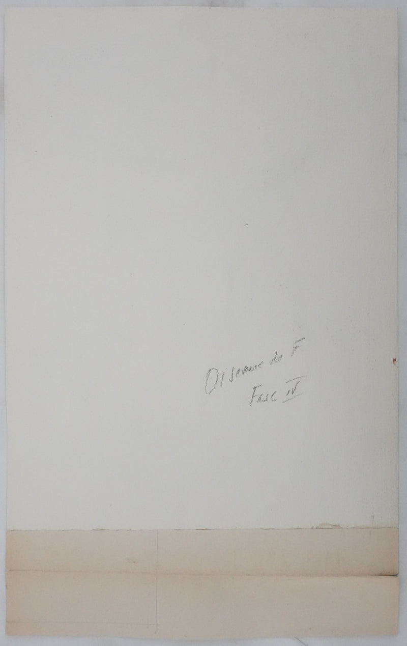 Louis DELAPCHIER : Goélands et Grand Labbe, Aquarelle originale signée