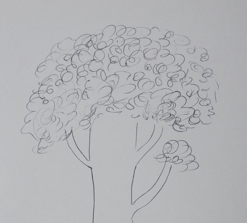 Armand DE DURFORT : L&