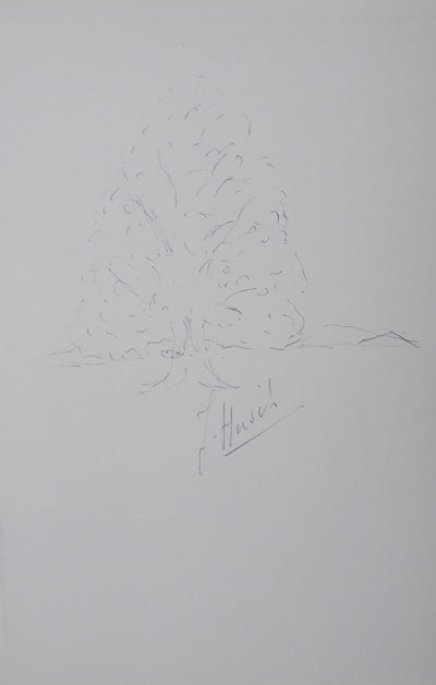 HIRSCH : L'arbre invisible, Autographe et dessin original signé