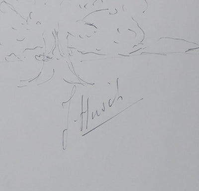 HIRSCH : L'arbre invisible, Autographe et dessin original signé
