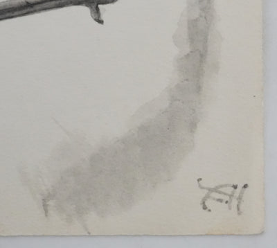 Louis DELAPCHIER : Chevaliers et Bécasseau semi palmé, Aquarelle originale signée