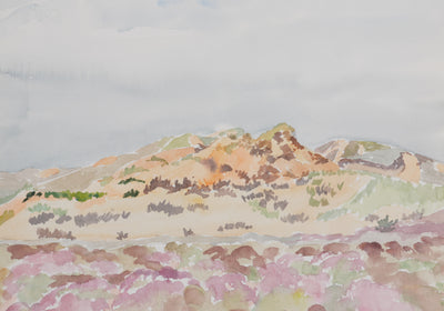 Camille COMBE : Le champs de fleurs rose, Aquarelle originale signée