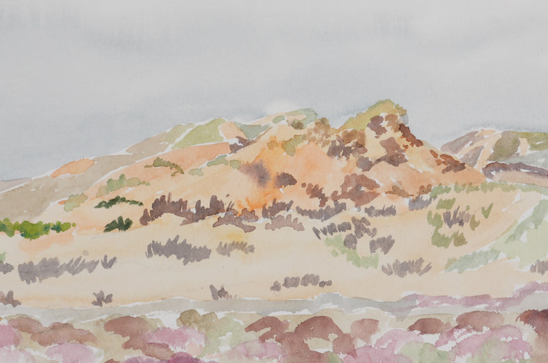 Camille COMBE : Le champs de fleurs rose, Aquarelle originale signée