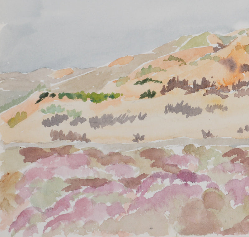 Camille COMBE : Le champs de fleurs rose, Aquarelle originale signée
