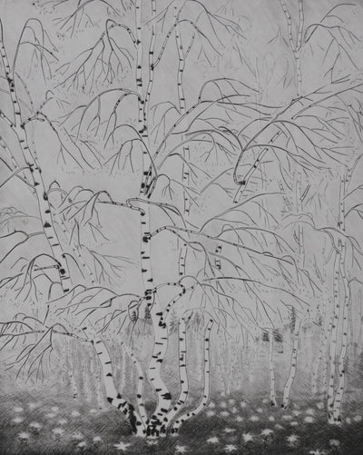 Camille COMBE : Le printemps des bouleaux, Gravure originale signée
