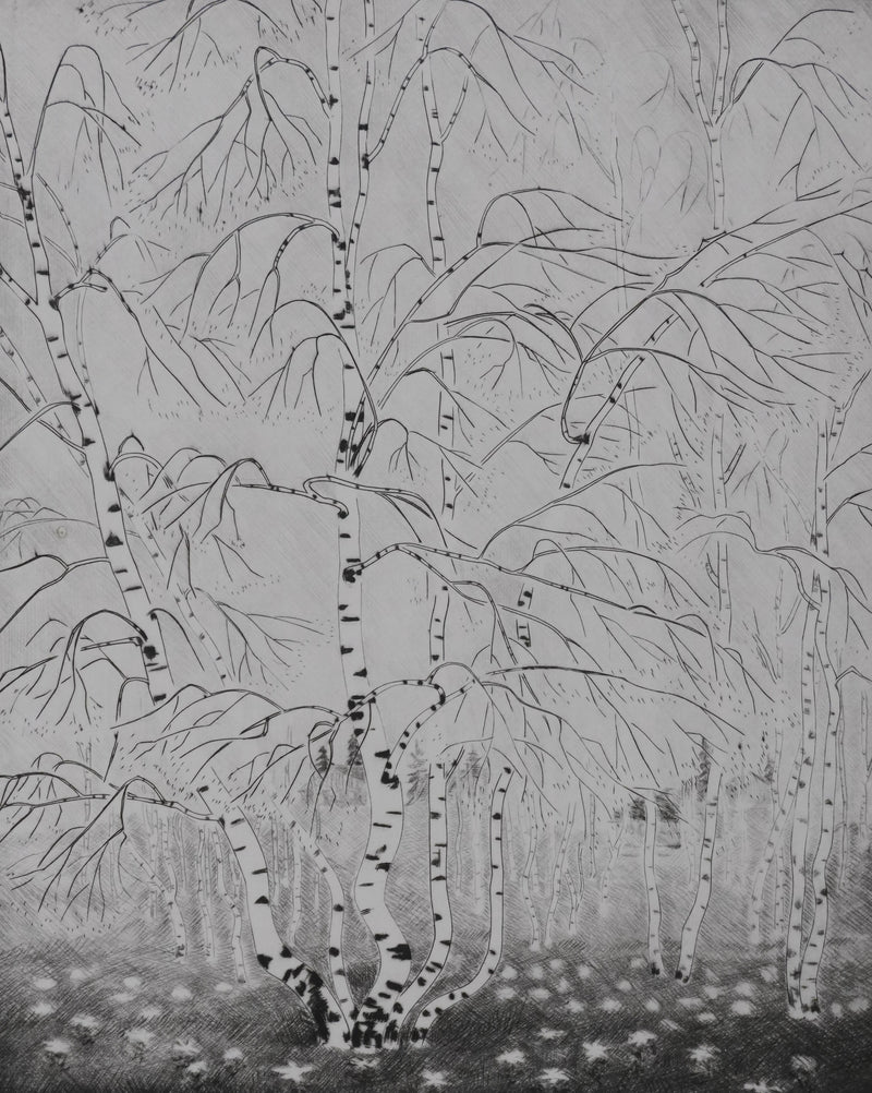 Camille COMBE : Le printemps des bouleaux, Gravure originale signée