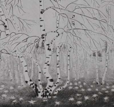 Camille COMBE : Le printemps des bouleaux, Gravure originale signée