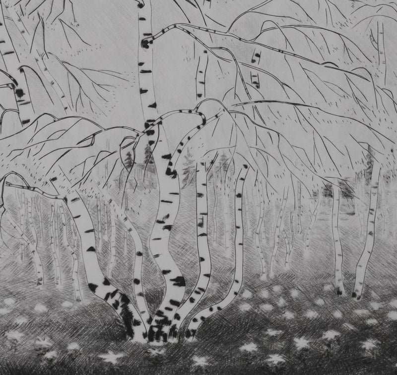 Camille COMBE : Le printemps des bouleaux, Gravure originale signée
