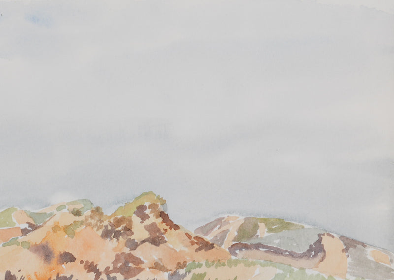 Camille COMBE : Le champs de fleurs rose, Aquarelle originale signée