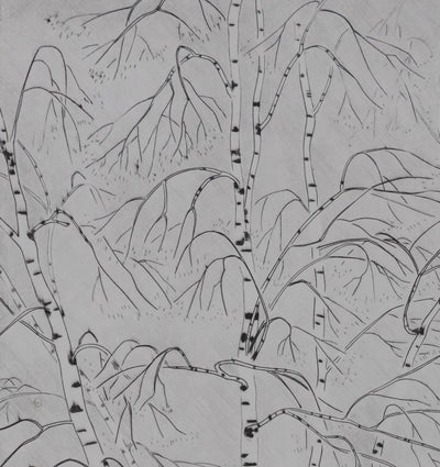 Camille COMBE : Le printemps des bouleaux, Gravure originale signée