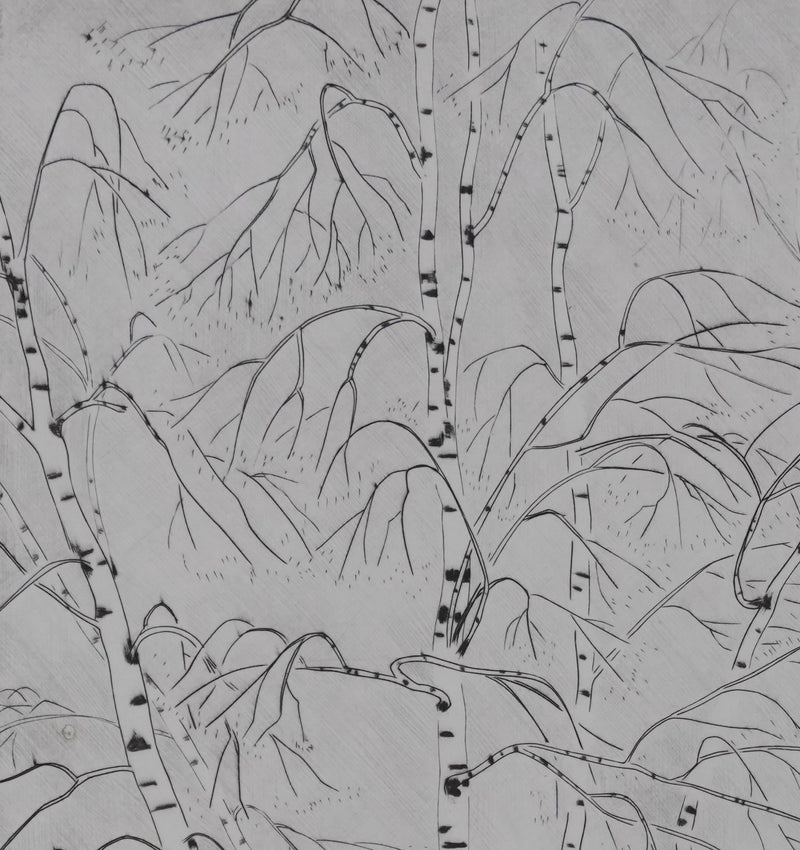 Camille COMBE : Le printemps des bouleaux, Gravure originale signée