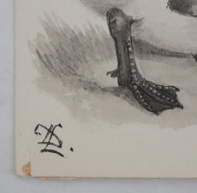 Louis DELAPCHIER : Poussins (Oie d'Egypte, Sarcelle, Canard), Aquarelle originale signée