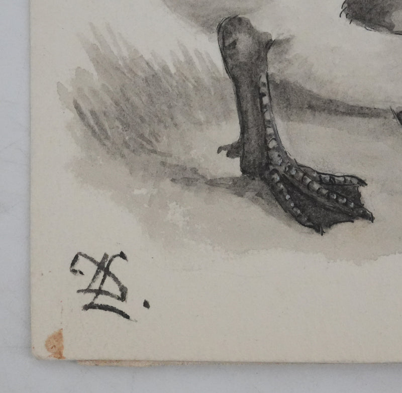 Louis DELAPCHIER : Poussins (Oie d&