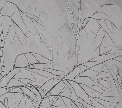 Camille COMBE : Le printemps des bouleaux, Gravure originale signée