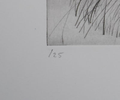 Camille COMBE : Les mélèzes d'automne, Gravure originale signée