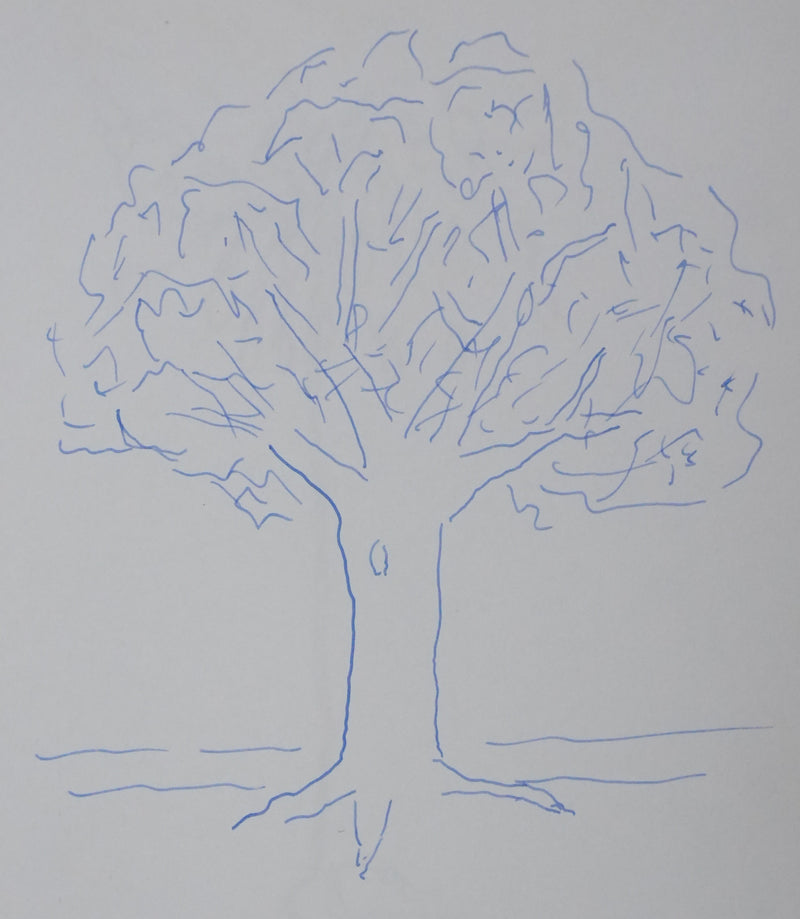 Gabriel DE BROGLIE : L&