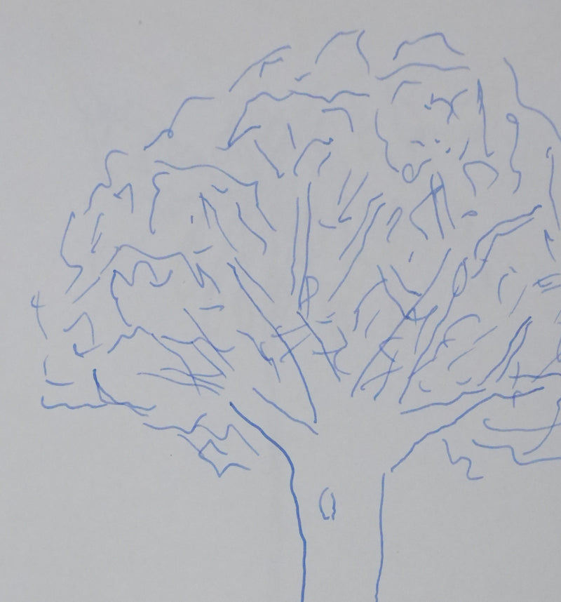 Gabriel DE BROGLIE : L&