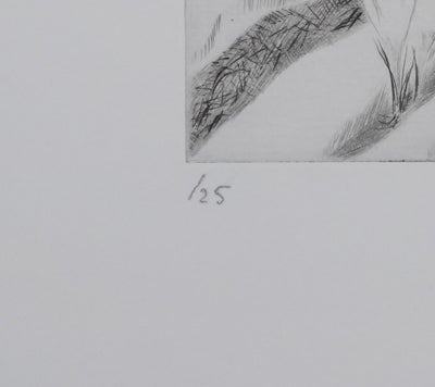 Camille COMBE : La dernière neige du printemps, Gravure originale signée